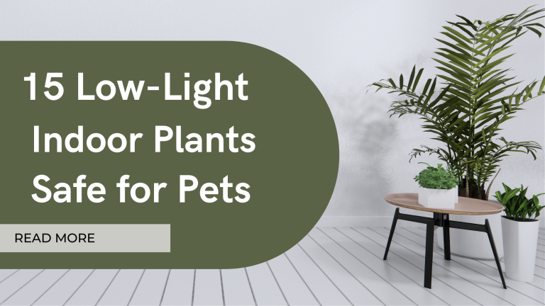low light indoor light safe fort pets