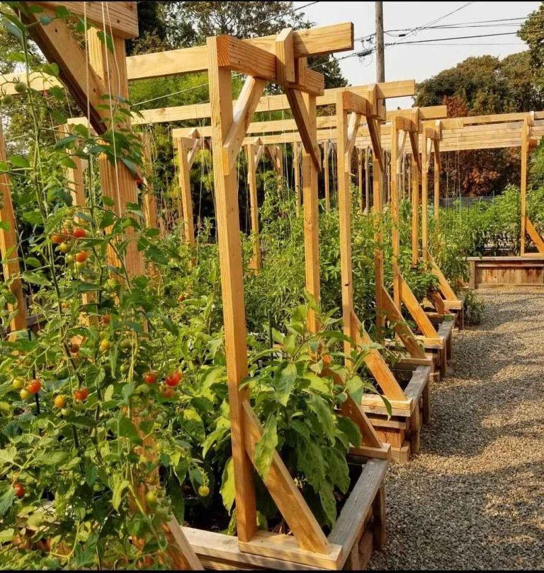 How to Build a Raised Garden Bed with Trellis for Vertical Gardening