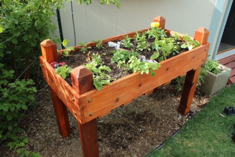 10 Genius Pallet Raised Garden Bed Designs You’ll Want to Try Today!