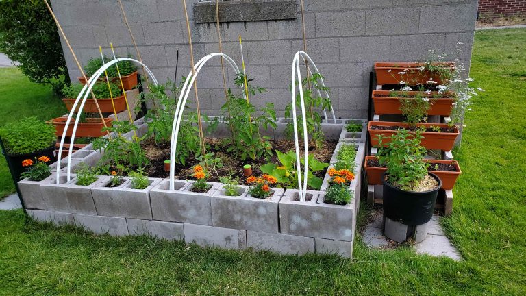 12 Inspiring Raised Bed Backyard Garden Ideas for Beginners