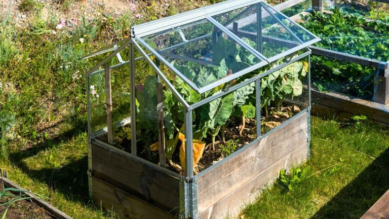 Protect Your Plants: 10 Best Raised Garden Bed Covers for Every Garden