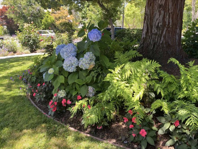 20 Stunning Front Yard Flower Bed Ideas to Boost Your Curb Appeal