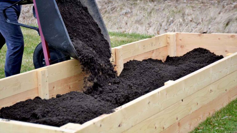 How to Fill a Raised Garden Bed for Cheap: A Budget-Friendly Guide to Growing Your Dream Garden