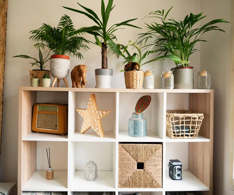15 Indoor Plant Shelf Ideas That Make Your Home Feel Calm, Fresh, and Alive