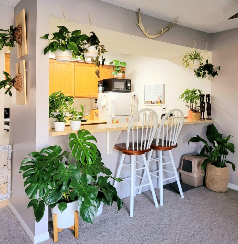 15 Stunning Indoor Plant Corner Ideas That Make Your Home Feel Alive