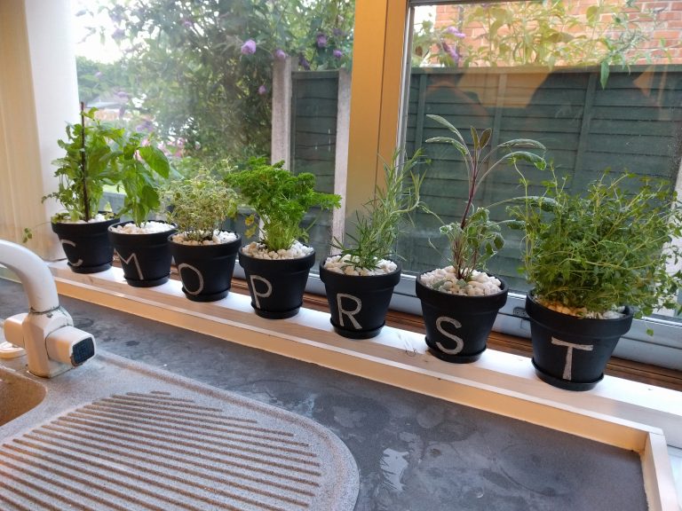12 Creative Container Herb Garden Ideas for Small Spaces