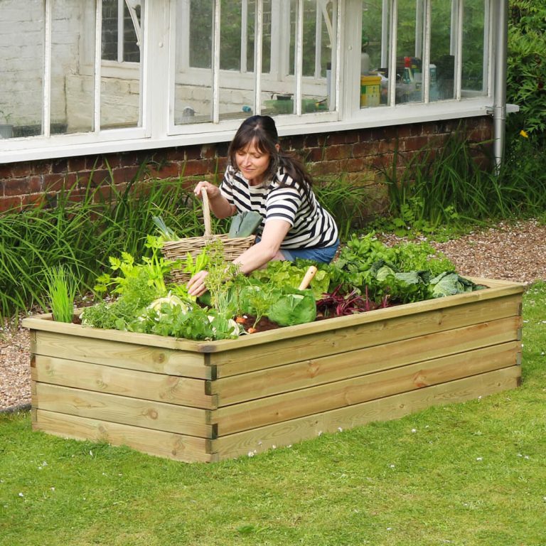 Avoid These 10 Mistakes When Building Raised Garden Beds