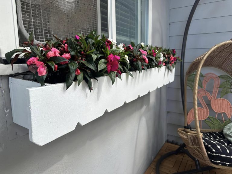 The Ultimate Guide to Shade Plants for Window Boxes