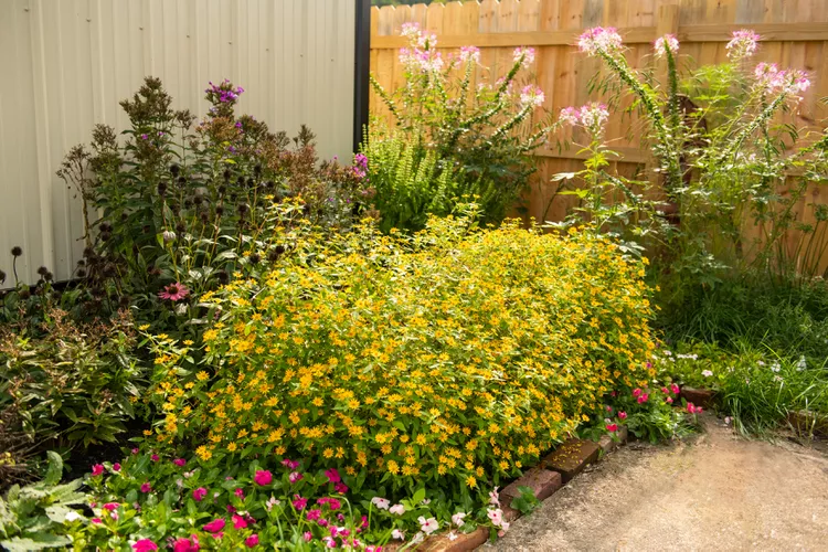 15 Genius and Stunning Corner Garden Ideas for Front Yard