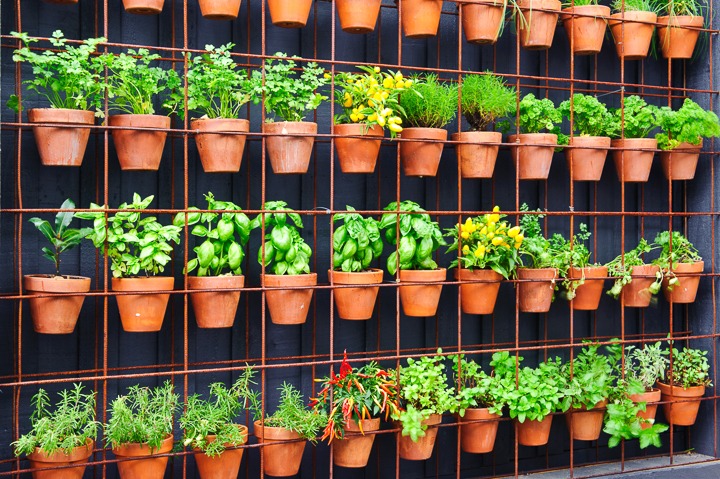 15 Vertical Herb Garden Ideas for Fresh, Stylish, Small-Space Growing