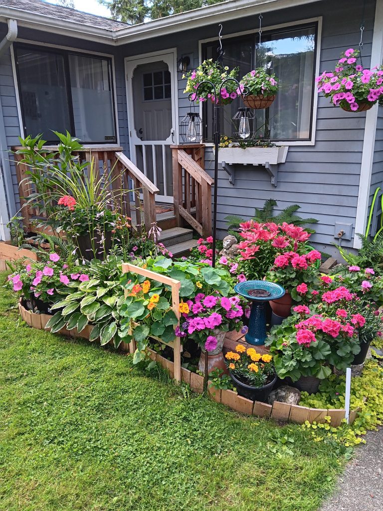 15 Best Flowering Bushes for Front of House Full Sun