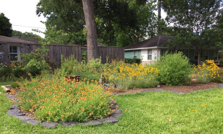 10 Creative & Stunning Front Yard Flower Bed Ideas for Texas