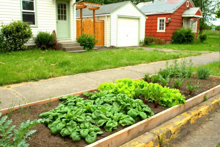 12 Small Front Yard Vegetable Garden Ideas You’ll Love to Copy