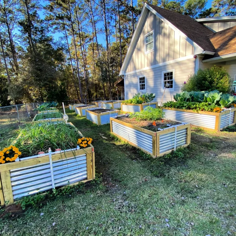 14 Creative Florida Vegetable Garden Ideas