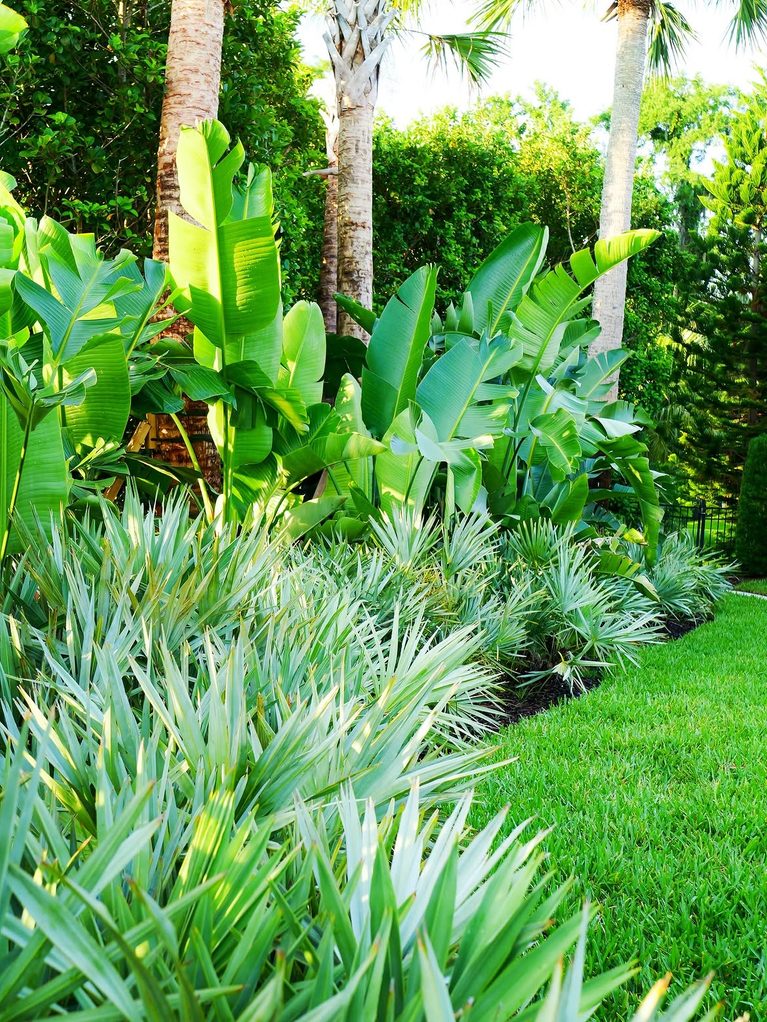 The Ultimate Guide to Tropical Front Yard Landscaping (12 Ideas Inside)