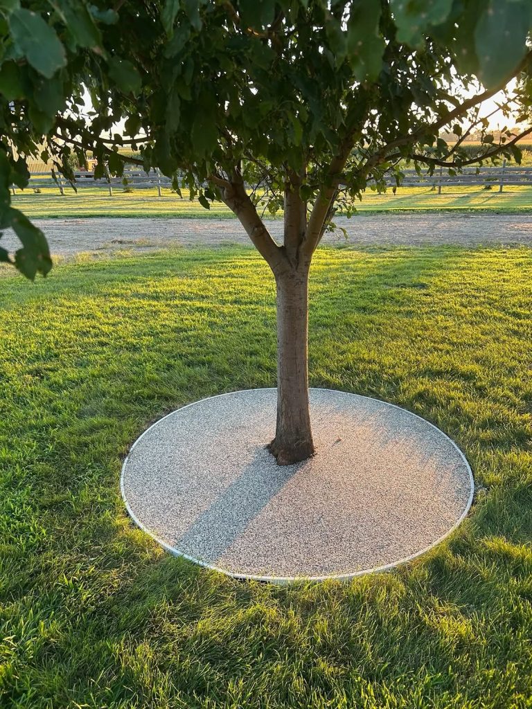 How Do You Edge Around a Tree Without Hurting It? 13 Ideas to Try