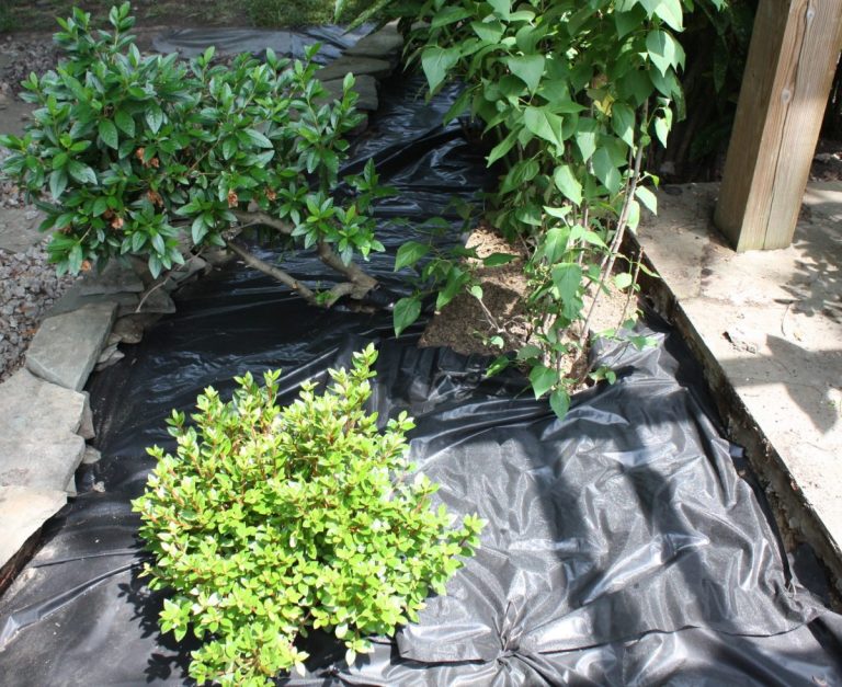 best landscape fabric that prevent weeds