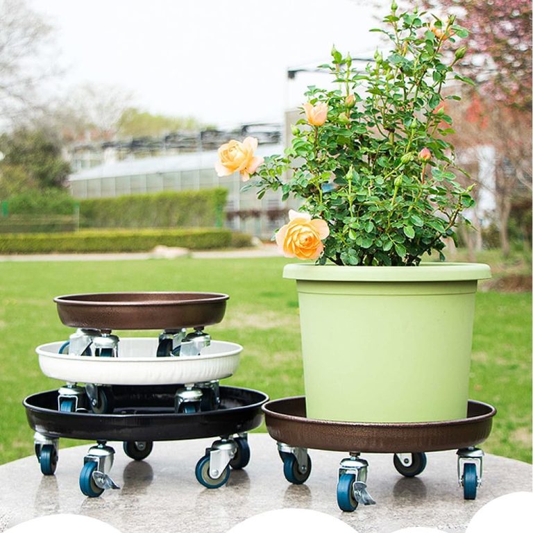 best rolling plant caddy for heavy pots