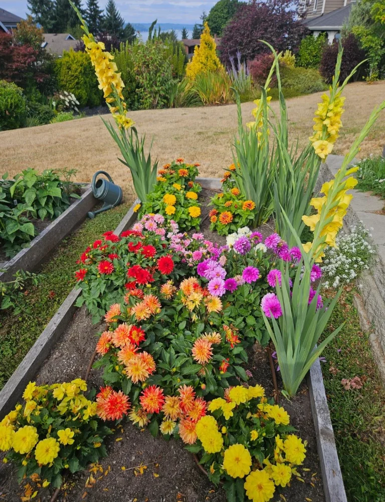 The Ultimate Guide to Cutting Garden Perennials That Bloom All Season Long