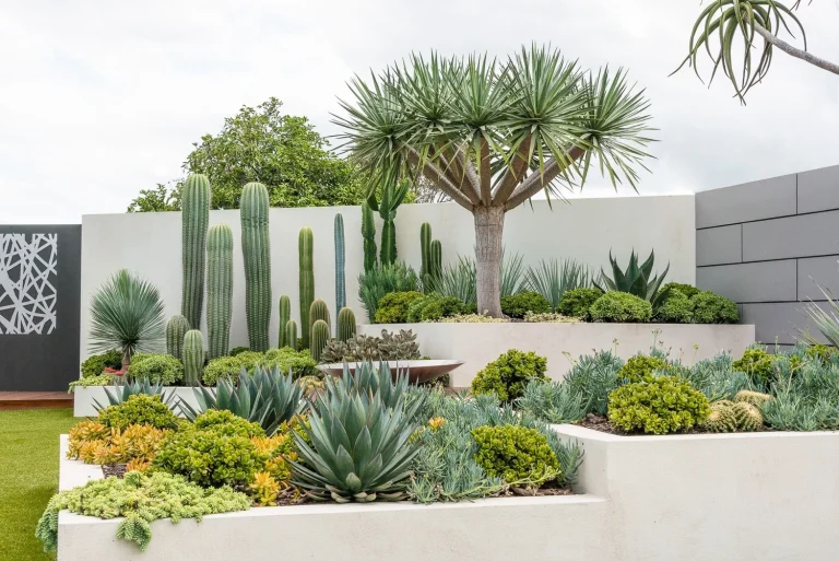 15 Drought Tolerant Landscaping Ides For California