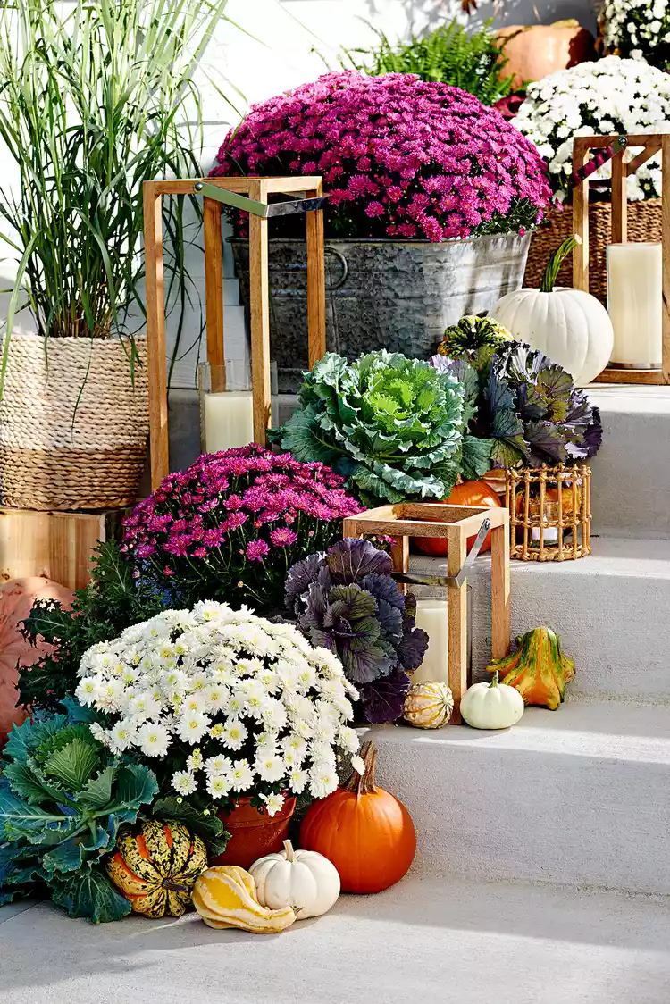 10 Best Fall Porch Decorating Ideas with Mums