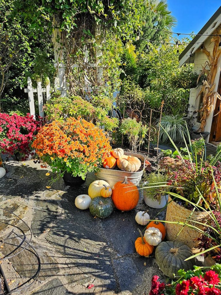 15 Flowers and Vegetables to Plant in October for a Head Start on Spring