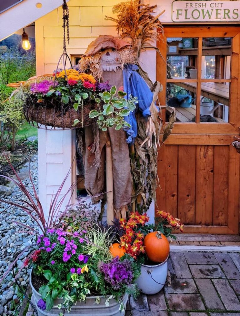 13 Rustic Fall Yard Decor Ideas That Feel Straight Off the Farm