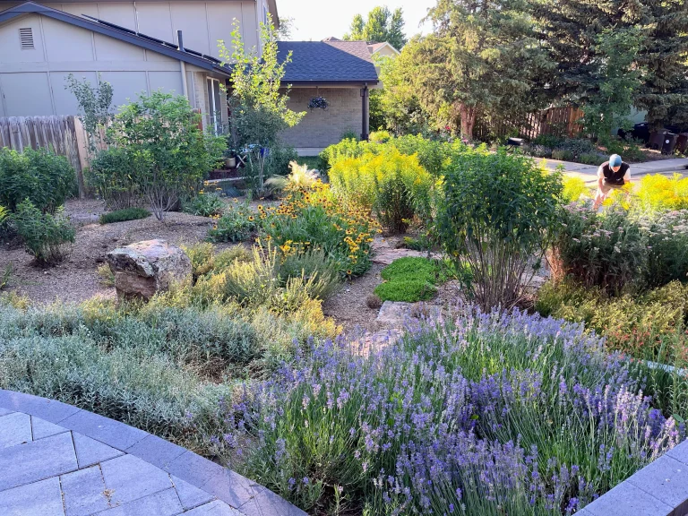 drought tolerant landscape colorado