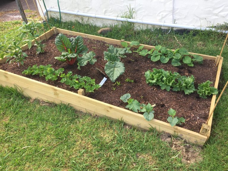 15 Cool-Weather Vegetables That Taste Even Better After a Frost