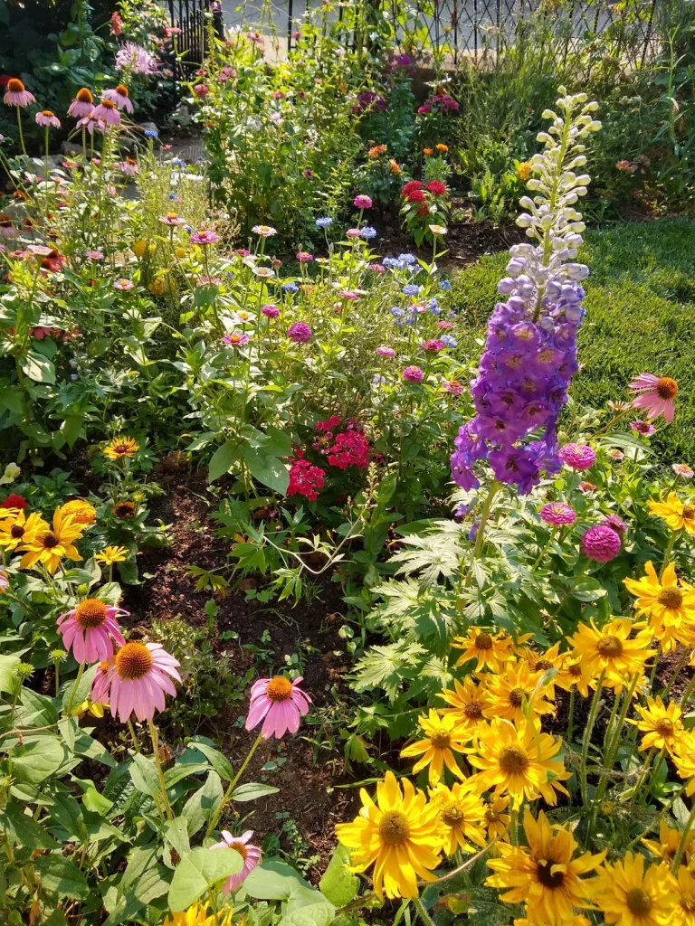 10 Flowers That Bloom in Fall and Winter (When Everything Else Goes Dormant)