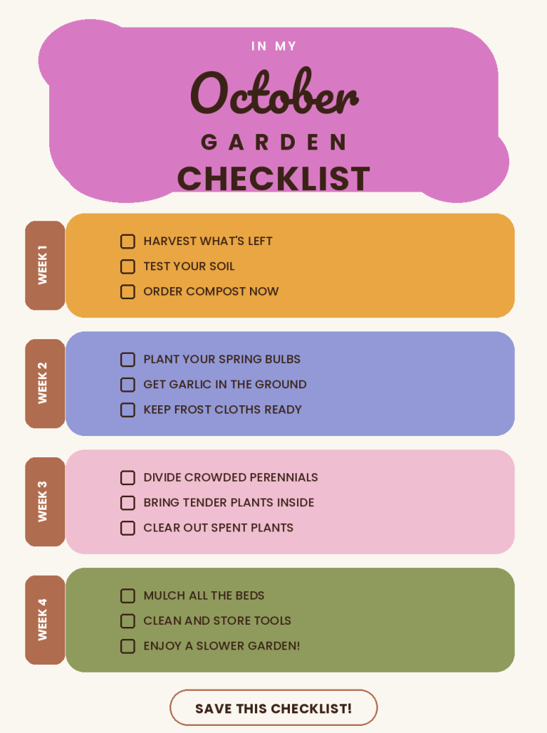 October Garden Checklist: What to Do Week by Week This Month